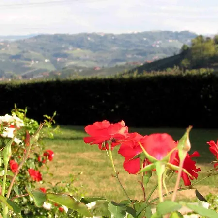 Rose Garden Verduno